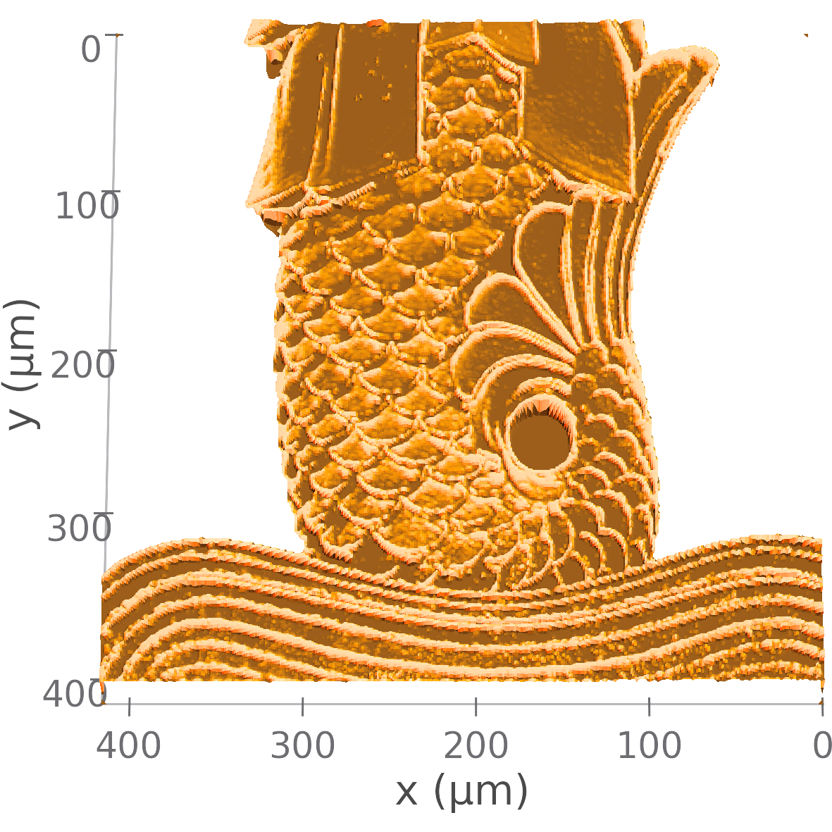 Three-dimensional CoraScan profile of a Merlion tail microstructure