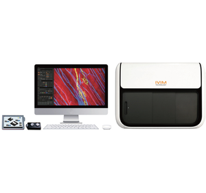 Multi-photon intravital and in vivo microscope